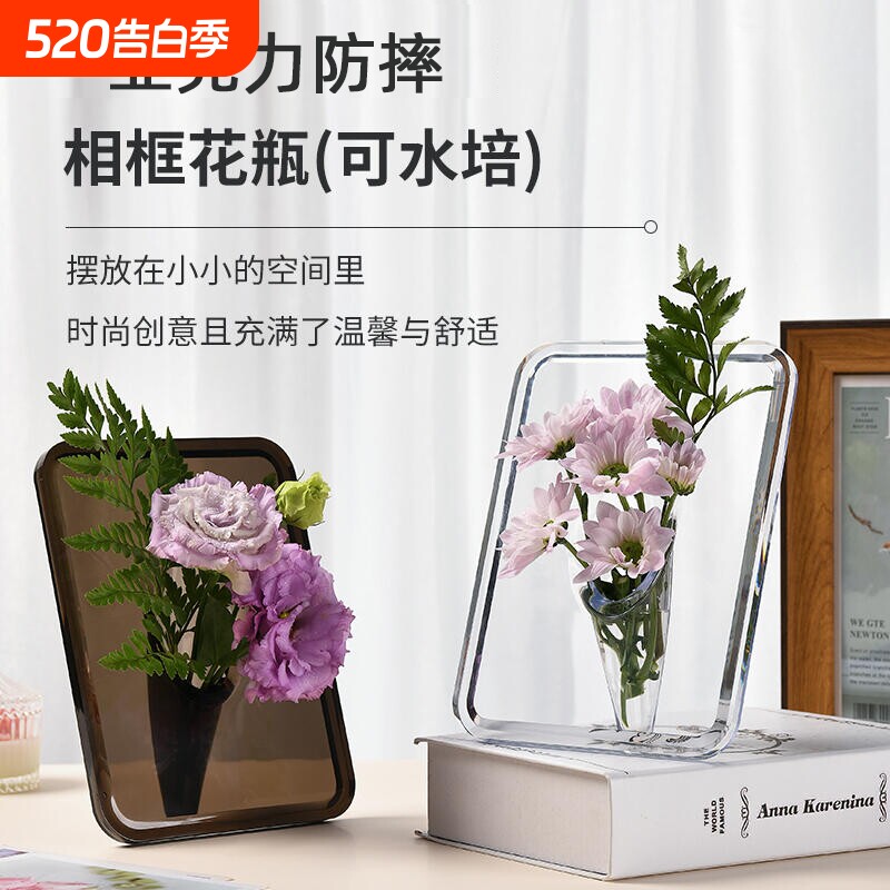 相框花瓶亚克力透明水培插花水养绿植摆件客厅桌面玄关轻奢高级感