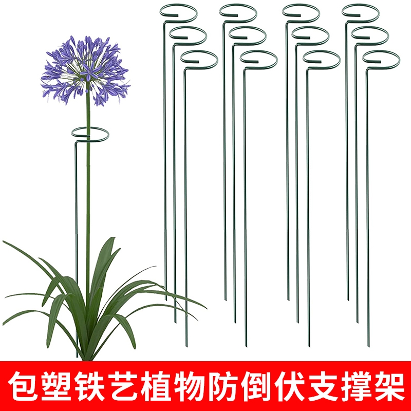 植物防倒伏支架铁艺绣球支撑杆园艺固定架爬藤花卉朱顶红花架包塑