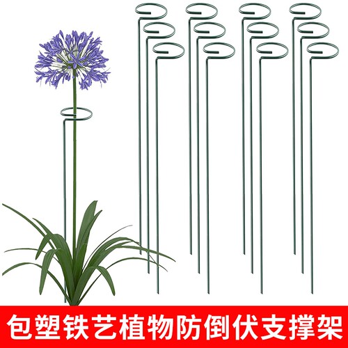 植物防倒伏铁艺支架花卉支撑杆