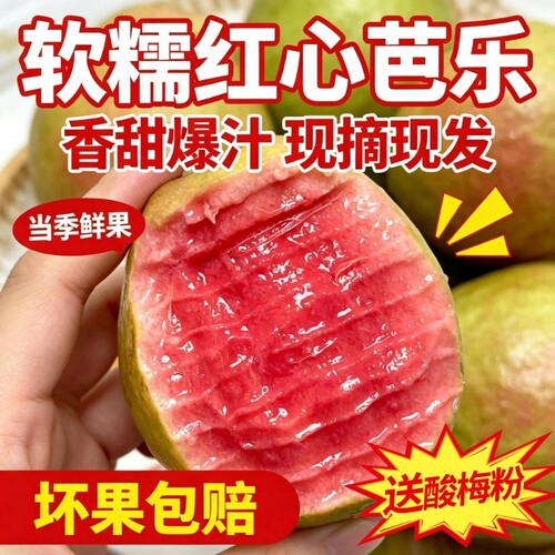 广西软糯红心芭乐5斤新鲜水果