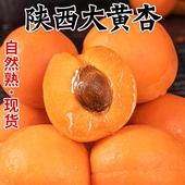 整箱时令现摘酸甜杏5斤金太阳孕妇10 杏子陕西大黄杏水果新鲜当季