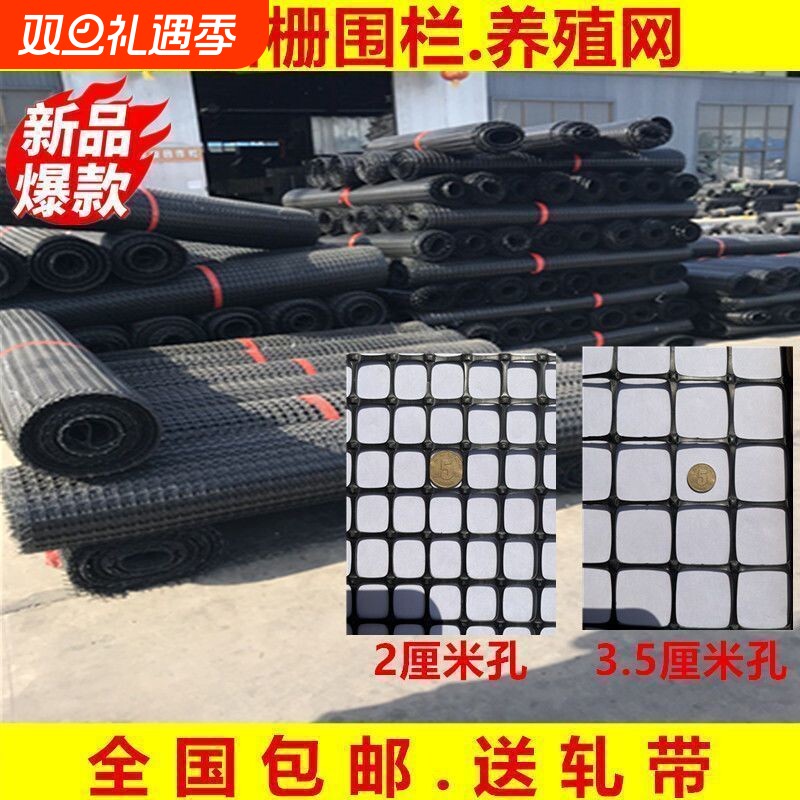 加厚鸡鸭塑料网格养殖围栏网黑胶网鱼塘隔离网防护网拦鸡网鸭床网