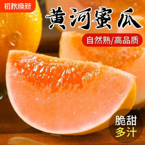 甘肃正宗黄河蜜瓜甜新鲜水果应当季整箱陕西沙漠黄金脆香瓜哈密瓜