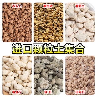 进口颗粒土二本线赤玉土桐生砂植金石鹿沼土轻石铺面拌土营养土