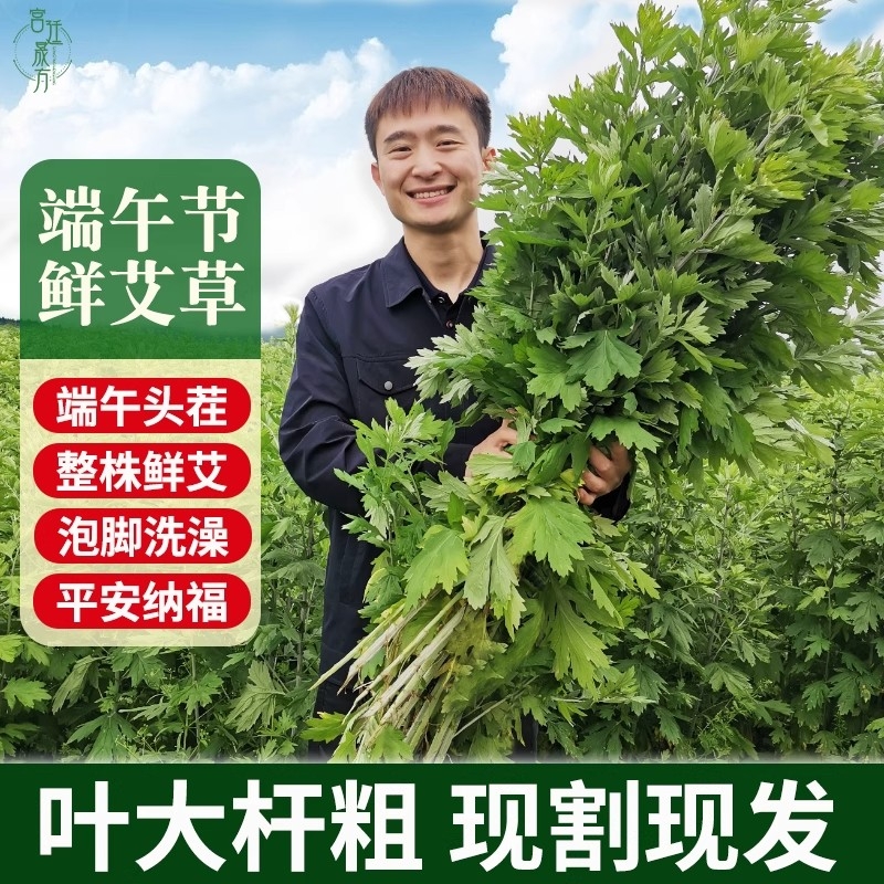 整棵正宗端午新鲜艾草挂门花束野生陈艾叶草艾蒿坐月子洗澡泡脚
