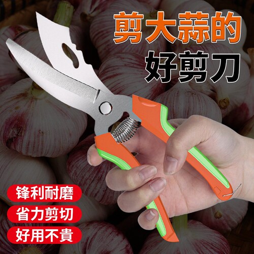 大蒜专用剪刀电动绞蒜头