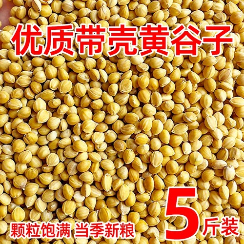 带壳黄谷子鸟粮小鸟食有壳带皮小米鹦鹉饲料虎皮玄风中小型专用粮