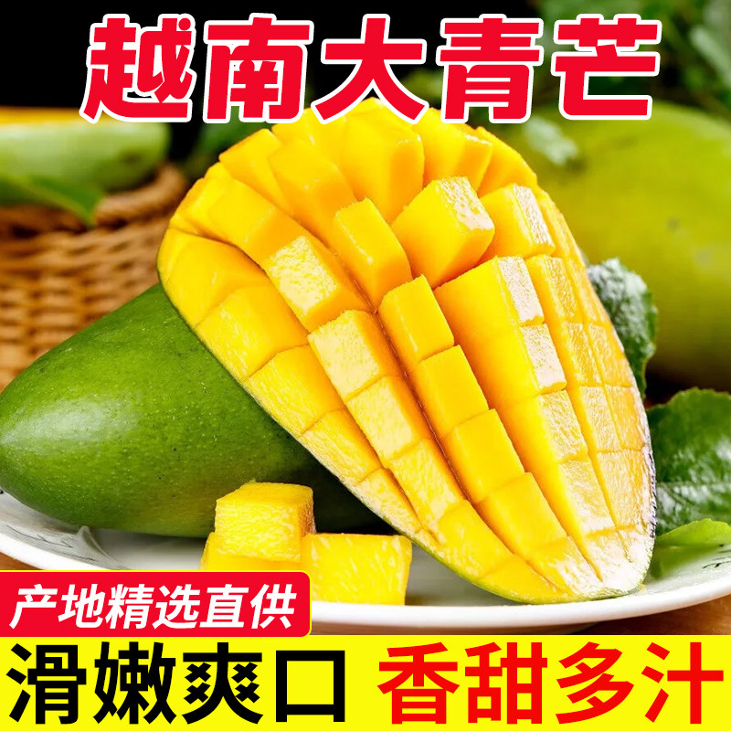 现货越南进口玉芒青芒水果当季新鲜芒果大芒果包邮凯特脆甜香蕉