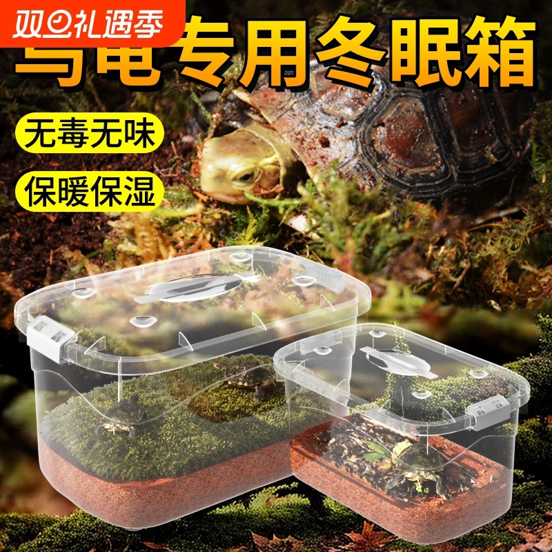 乌龟冬眠专用箱保暖角蛙守宫寄居蟹鬃狮蜥水陆两栖饲养盒蜥蜴过冬