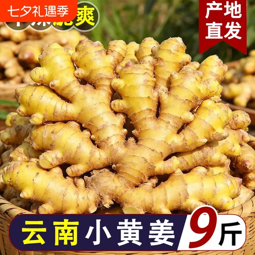 9斤云南小黄姜生姜老姜农家批发土姜现挖新鲜高山沙姜月子姜包邮
