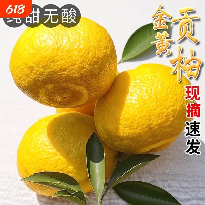 黄金贡柚湖南怀化新鲜水果9斤甜柚手剥柚子当季现摘象山柚纯甜
