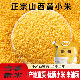 正宗山西黄小米当季新小米产地严选特产新米无杂早餐煮粥养胃米油