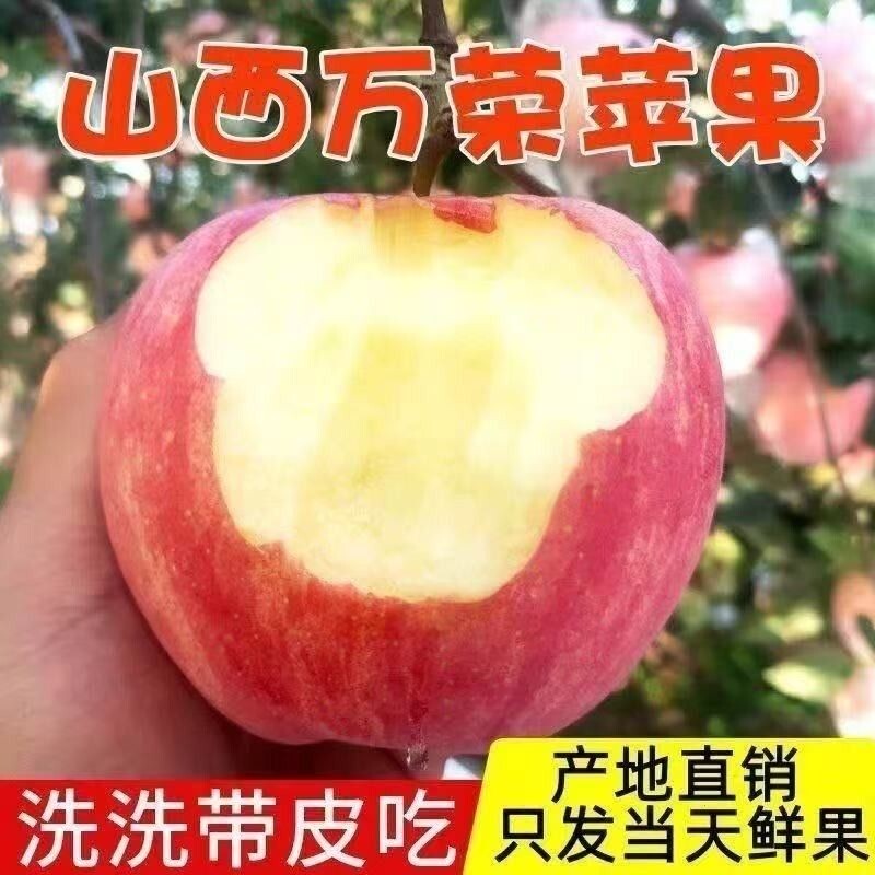 高山正宗红富士脆甜冰糖心丑苹果当季新货现摘现发自然生长礼盒装