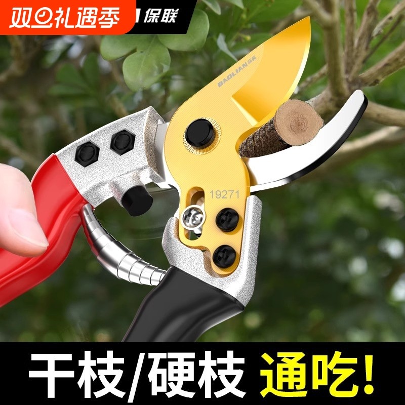 修枝剪园艺剪剪树枝果树专用剪刀修枝花卉果木葡萄剪子工具大全