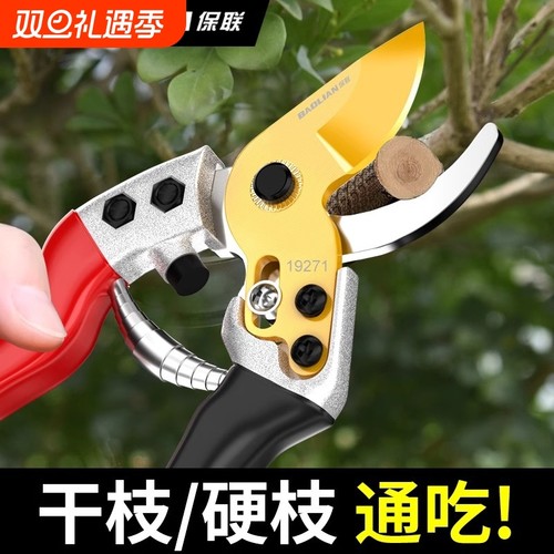 修枝剪园艺剪剪树枝果树专用剪刀修枝花卉果木葡萄剪子工具大全