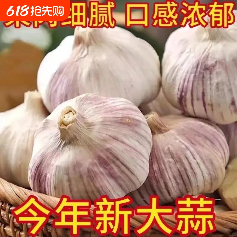 山东农家干大蒜5斤大蒜头新鲜大蒜紫白皮种子新干蒜蔬菜佐料蒜子