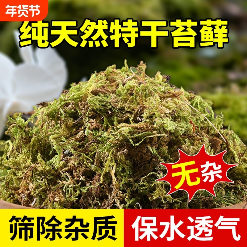 新鲜干水苔藓天然青苔兰花蝴蝶兰石斛种植专用营养土爬宠乌龟垫材