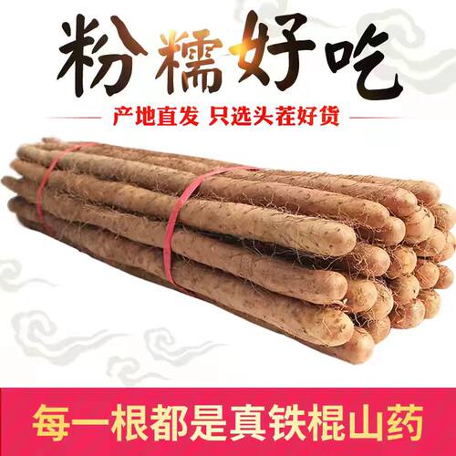 正宗铁棍山药新鲜铁杆怀山药现挖小白嘴山药面糯香甜批发包邮
