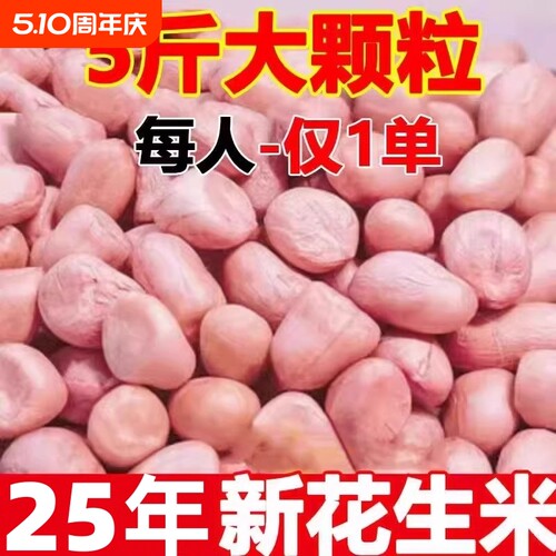 25年新鲜白沙花生米特大颗粒生新货粉皮新鲜花生米不带壳当季新货