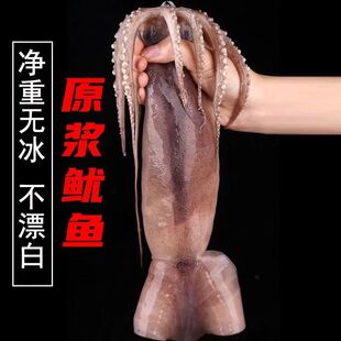 大鱿鱼新鲜冷冻超大尤鱼整只海捕烧烤铁板商用烧烤原料鱿鱼冷冻