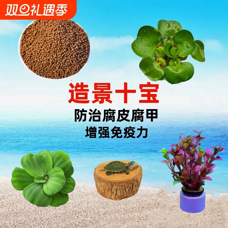 乌龟缸造景十宝套餐养龟专用浮萍水草龙眼木晒台净化水质后景植物