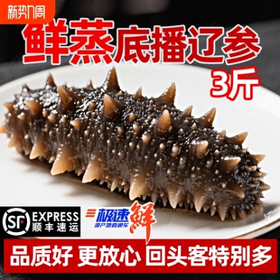 鲜蒸即食海参3斤大连深海捕捞非淡干特Q弹大个头水产冷冻年货散装