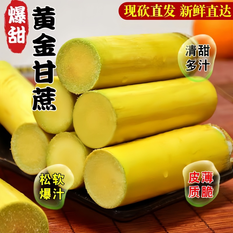 黄金甘蔗当季新鲜脆甜甘蔗脆嫩爆汁果肉饱满现摘清甜多汁新鲜批发