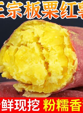 正宗板栗红薯新鲜番薯蜜薯