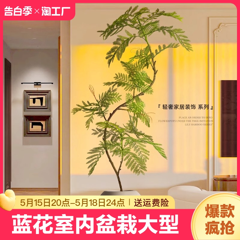 仿真绿植蓝花楹室内盆栽大型仿生植物假树轻奢客厅装饰品落地摆件