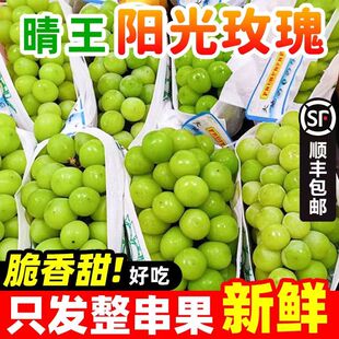 正宗阳光玫瑰葡萄香印青提晴王新鲜提子水果老少皆宜整箱顺丰包邮