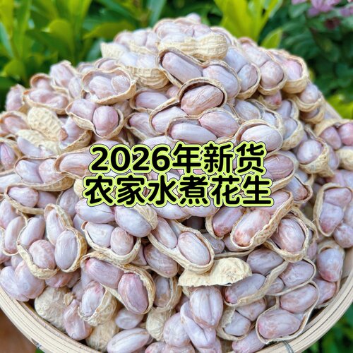 2026年农家水煮花生晒干水煮咸干盐水花生白晒花生坚果零食特产