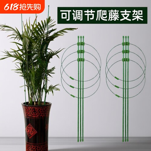 可调节爬藤架花架园艺支撑攀爬架
