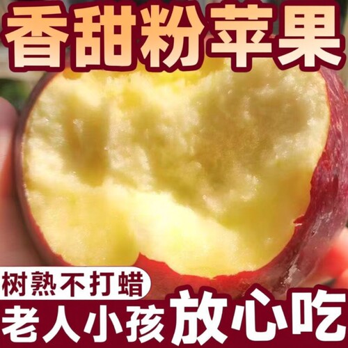 粉面秦冠苹果苹果山西红老人婴儿孕妇刮果泥吃新鲜9包邮年货节