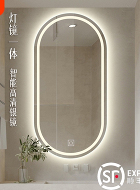 椭圆形智能浴室镜酒店卫生间镜子led触控发光化妆镜玻璃防水除雾