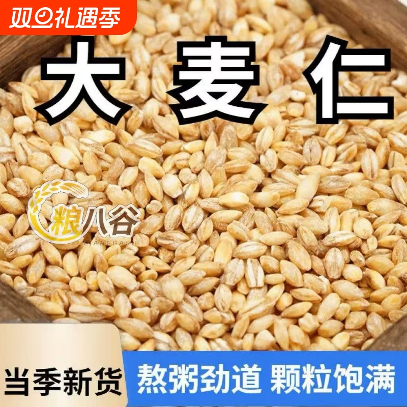 农家大麦仁散装新货优质