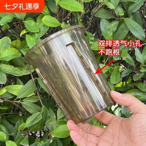 控根盆热绿植龟背竹兰花塑料花盆