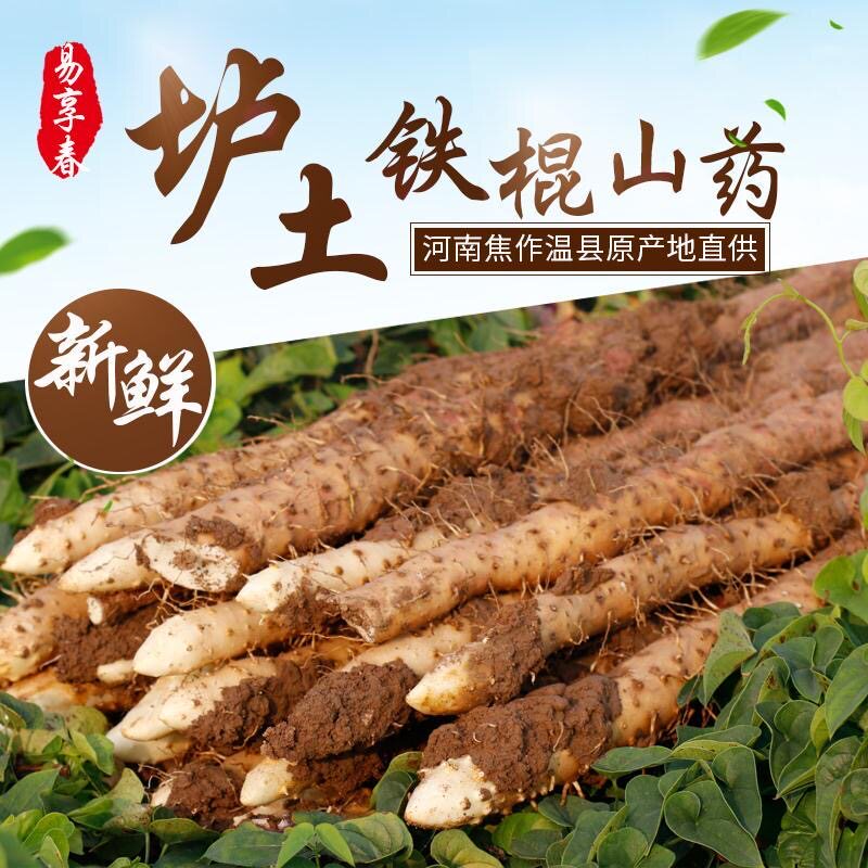 正宗河南焦作温县垆土铁棍山药新鲜铁棍怀山药蔬菜批发山药当季