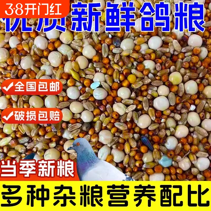 优质鸽粮玉米粮食鸟食饲料鸽子营养保健幼鸽成鸽肉鸽观赏鸽信鸽粮