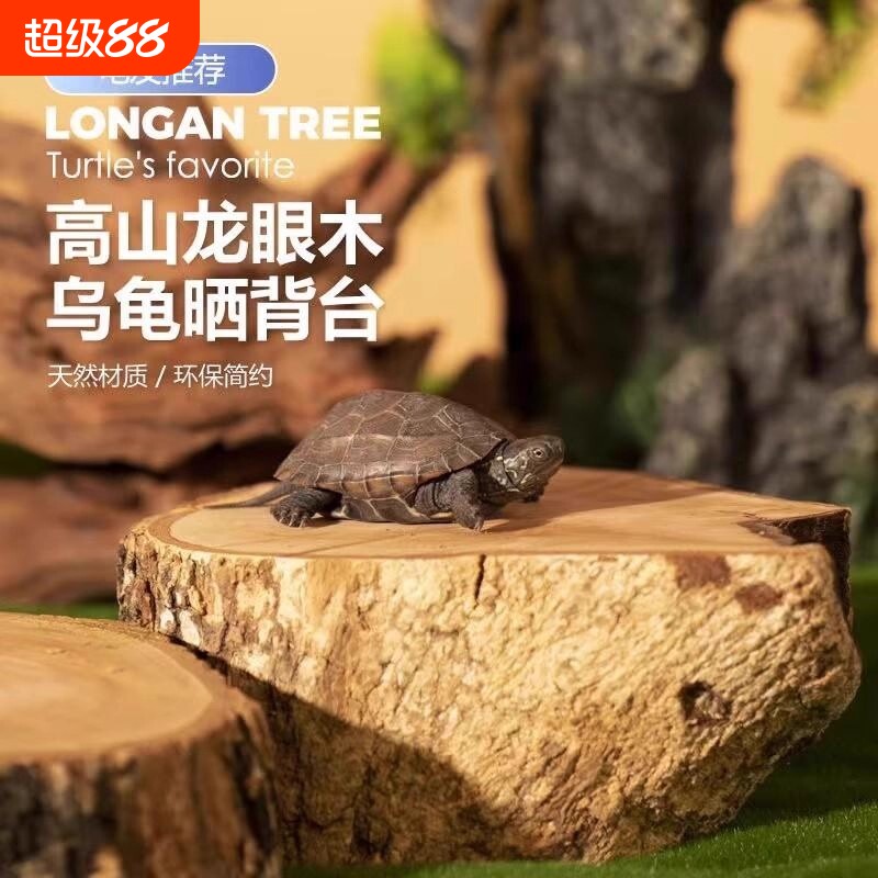 高山龙眼木乌龟晒台龟缸造景摆件天然沉木爬台爬坡休息台防腐皮