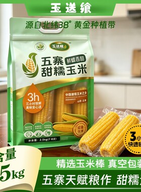 五寨甜糯玉米非转基因国企品质
