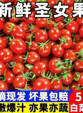 广西新鲜千禧圣女果西红柿小柿子小番茄樱桃当季特产水果蔬菜整箱