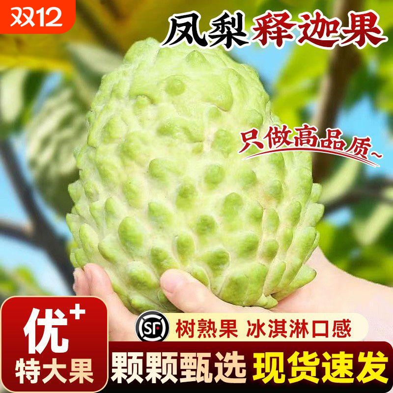 释迦果新鲜番荔枝5斤大目凤梨牛奶佛头果林檎果当季水果3顺丰热带