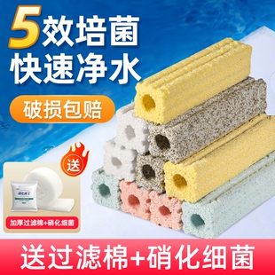 细菌屋大号滤材鱼缸过滤材料培菌专用高端硝化细菌生化培养水质