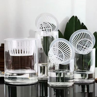 水培容器水培植物玻璃花瓶綠蘿綠植插花客廳桌面裝 飾擺件特大號