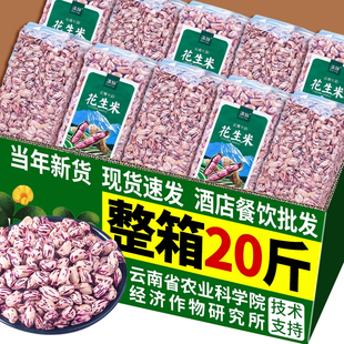 农科院云南七彩花生米新货晒干去壳生吃五彩牛奶花生仁凉拌打豆浆