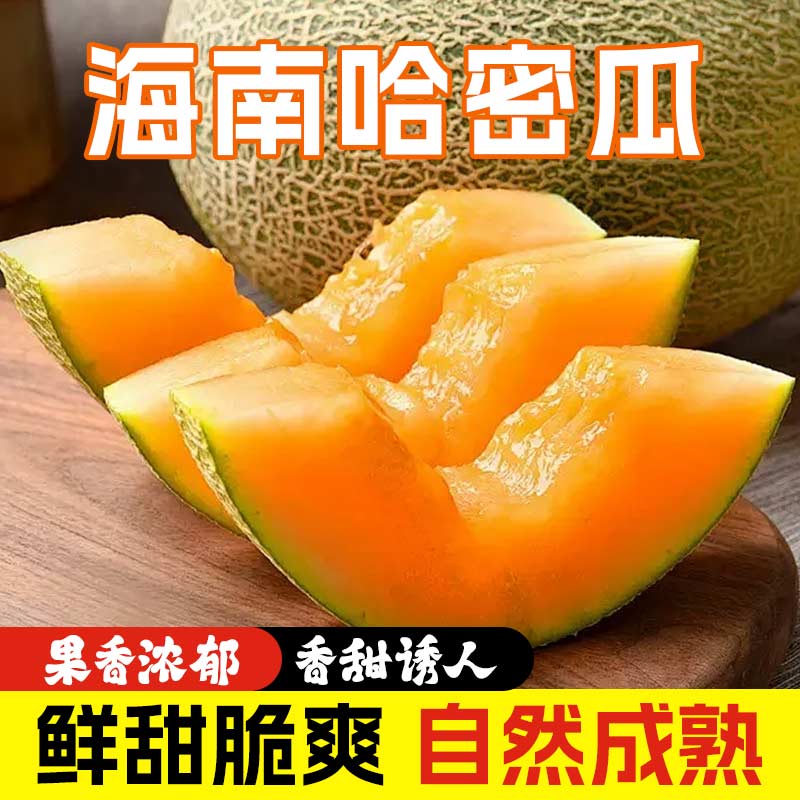 海南哈密瓜正宗晓蜜25号新鲜当季水果脆甜网纹西州蜜脆甜整箱包邮