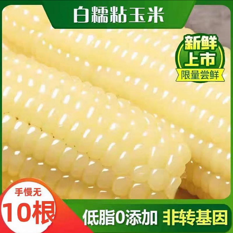 新鲜白糯玉米东北特产玉米香甜软糯粘苞米年货必囤加热即食真空装