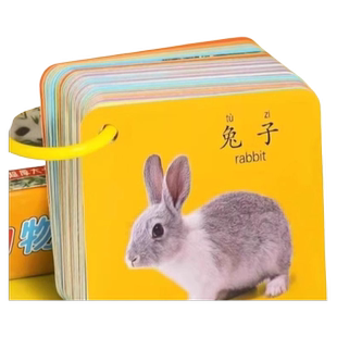 宝宝早教启蒙书认知卡片安静书全套基础幼儿园0到3岁益智看图识字