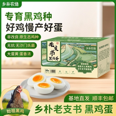 乡朴黑鸡蛋始祖30枚鲜鸡蛋无抗无激素整箱土鸡蛋礼盒装顺丰新鲜