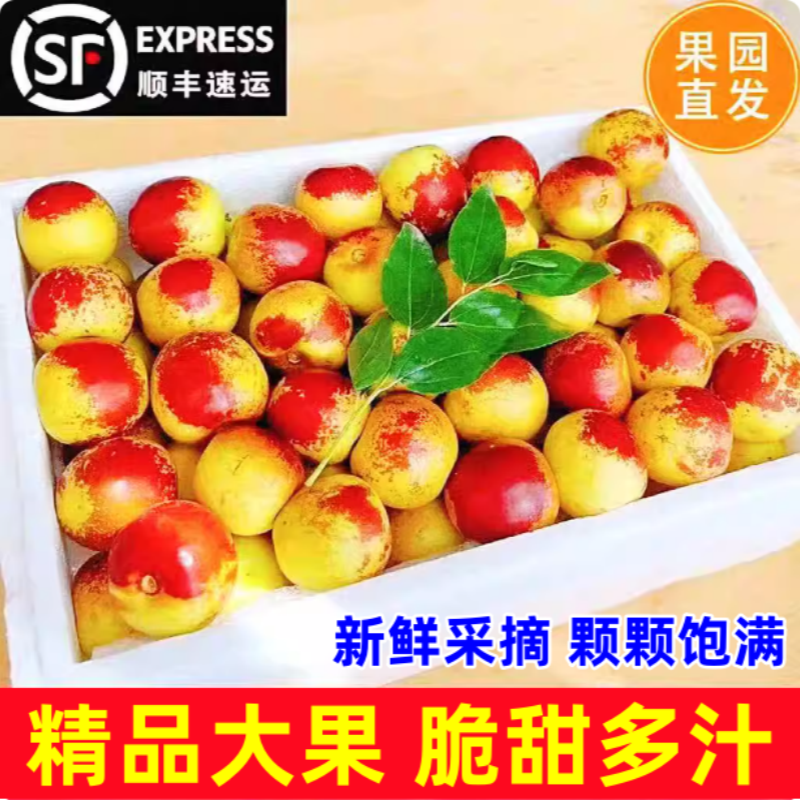 顺丰包邮正宗冬枣新鲜大果应季整箱枣子现摘脆枣冰糖大枣当季水果